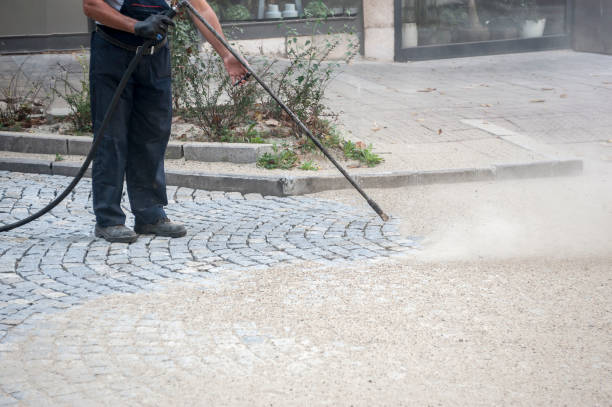 Best Roof Washing  in East Rockingham, NC